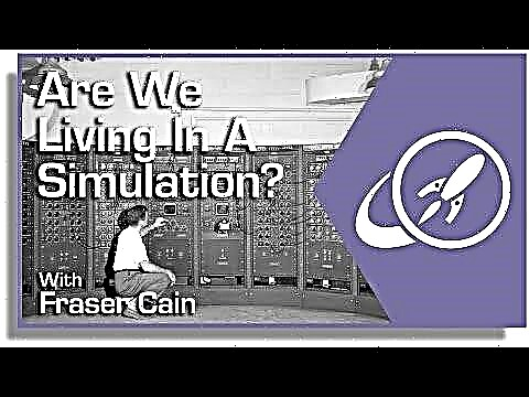 Živimo li u simulaciji?