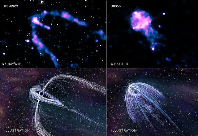 Space Jellyfish แสดงประเภทของ Nebulas ลมพัลซาร์