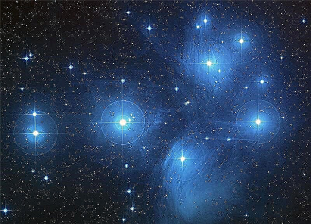 As estrelas realmente se formam em aglomerados?