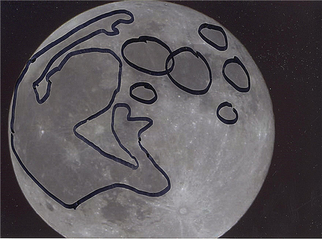 Cầu thủ bóng rổ trong mặt trăng - Bắt nó tối nay!