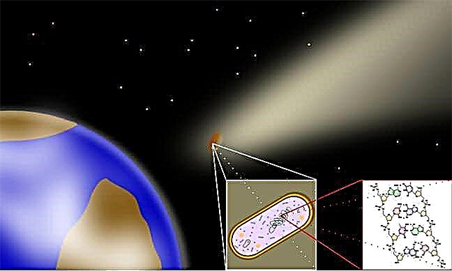 La Terre pourrait propager la vie sur la voie lactée