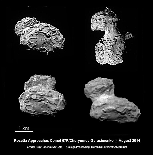 Rosetta na aproximação final ao encontro histórico de cometas - Assista ao vivo aqui