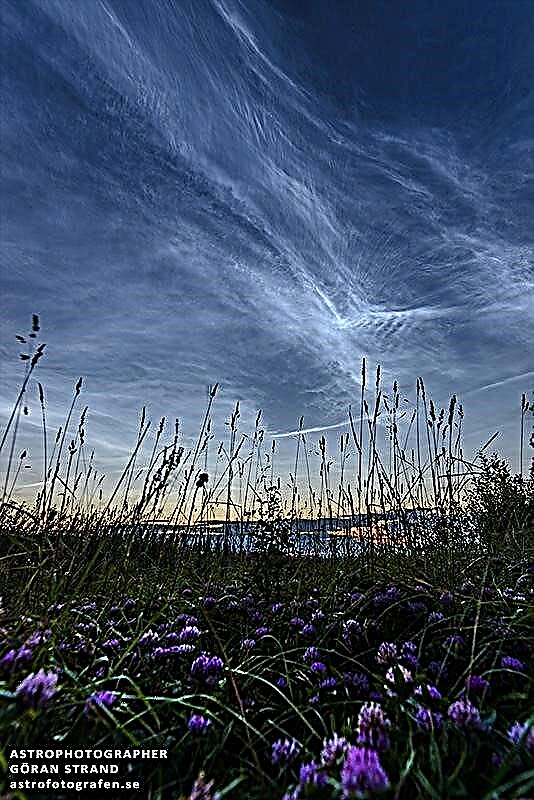 Timelapse: Assista nuvens noctilucentes cobrem o céu inteiro