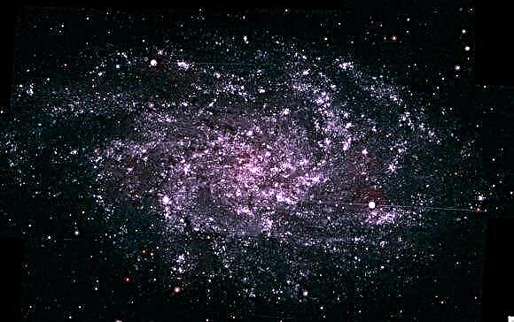 Une galaxie entière, vue en ultraviolet