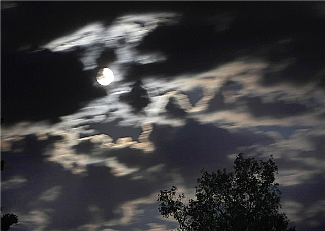Kaip (tikiuosi) rasti aiškų dangų viso šio vakaro Mėnulio užtemimo metu