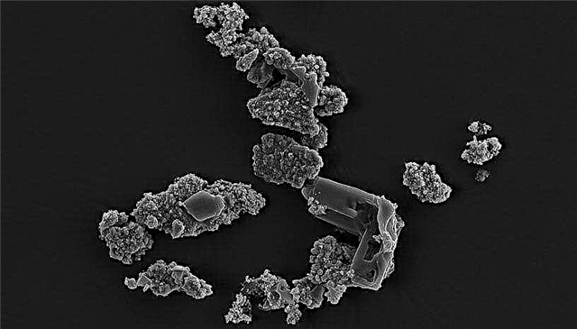 Mikroorganizmas, kurio skonis yra meteoritai, galėtų padėti mums suprasti gyvybės formavimąsi žemėje