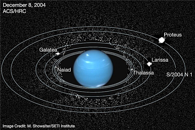 A Tale of a Lost Moon: Hubble Spies Neptunes månar och dess ringar