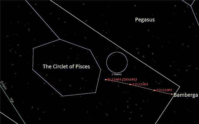 الكويكب الضخم 324 بامبرغا يقوم بزيارة عودة إلى جوار الأرض يوم الجمعة الثالث عشر