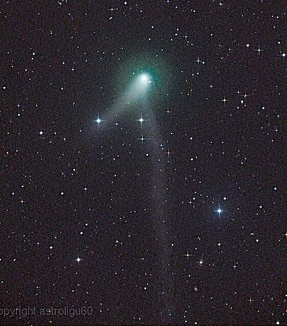 Dê uma olhada: O cometa PANSTARRS K1 oscila com a Ursa Maior esta semana, brota a segunda cauda
