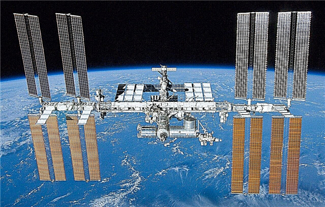 Екстремните бактерии на космическата станция се развиват, за да се справят с тежките условия, а не да правят астронавтите болни