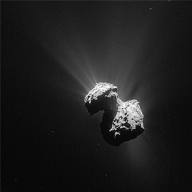 Rosetta ได้เห็นสิ่งปลูกสร้างแห่งชีวิตบนดาวหาง 67P