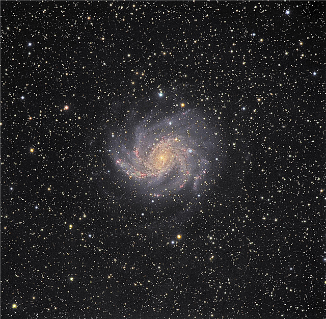 A galáxia do foguete - NGC 6946 por Dietmar Hager