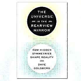 Werbegeschenk: Das Universum im Rückspiegel von Dave Goldberg