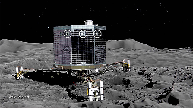 Bedenken hinsichtlich der Datenfreigaberichtlinie der ESA bei der Landung von Rosetta-Kometen