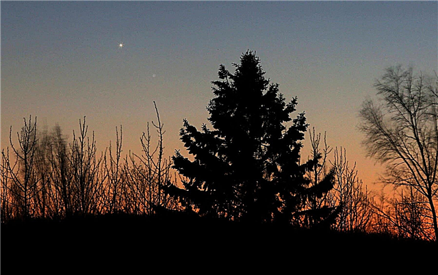 Mercury and Venus an Awesome Duo at Dusk