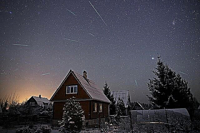 Mögast nurru: väljavaated 2015. aasta novembrikuistele Leonid-meteooridele