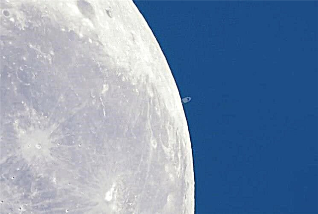 Mira a Saturno deslizarse detrás de la luna