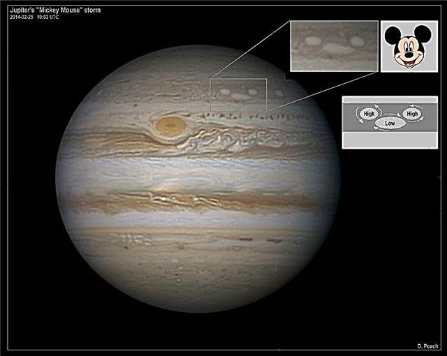 Nya stormar på Jupiter ser ut som Mikke Mus