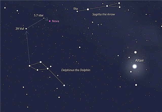 A constelação de Delphinus