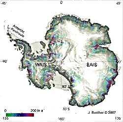 تظهر الدراسة المزيد من فقدان الجليد في القطب الجنوبي