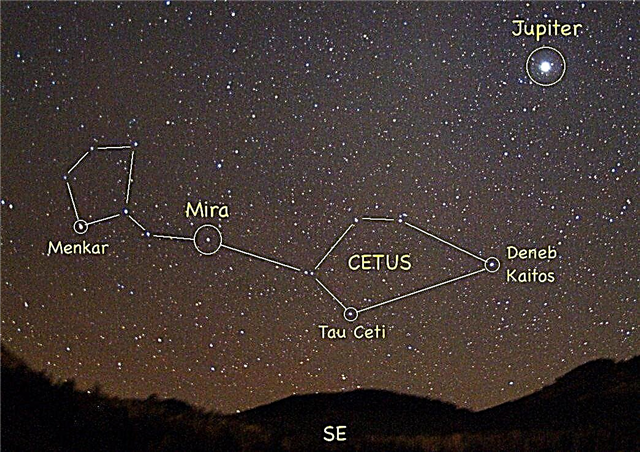 خمسة كواكب حول النجم القريب تاو سيتي. واحد في المنطقة الصالحة - مجلة الفضاء